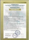 Общероссийский проект "Школа цифрового века" Тема: Оценивание в условиях введения требований нового Федерального государственного образовательного стандарта.
