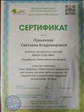 Сертификат "Здоровье сберегающие технологии как основа системы работы школы по укреплению здоровья школьников", 2019г.